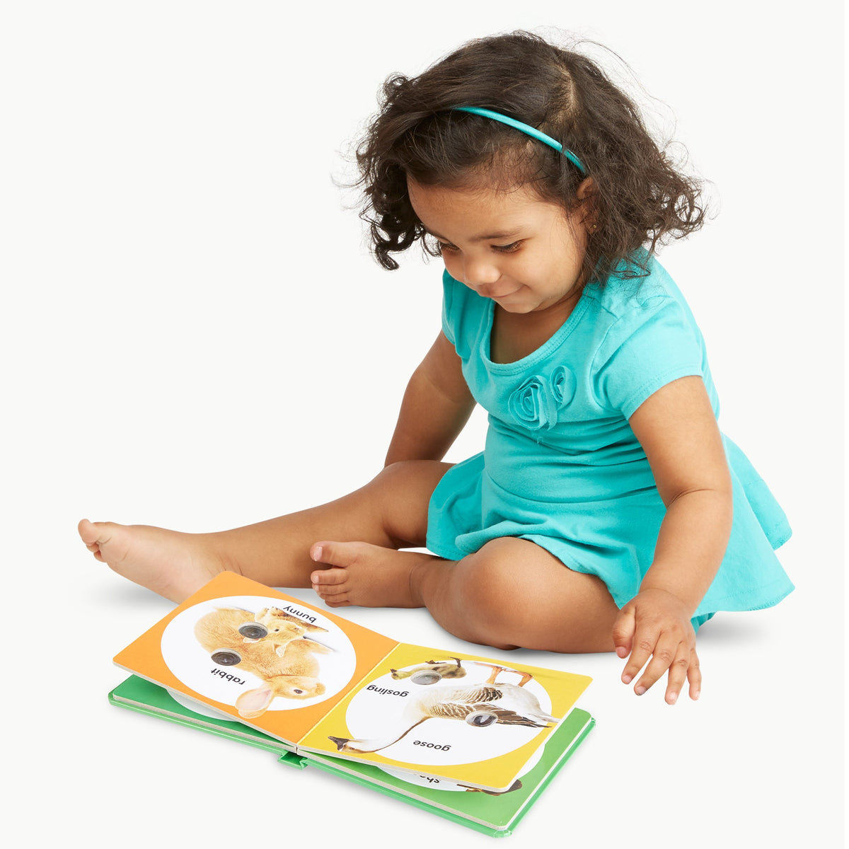 Poke-a-Dot: Farm Animal Families Board Book S8