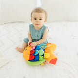 Baby Sensory Play Gift Bundle Q1