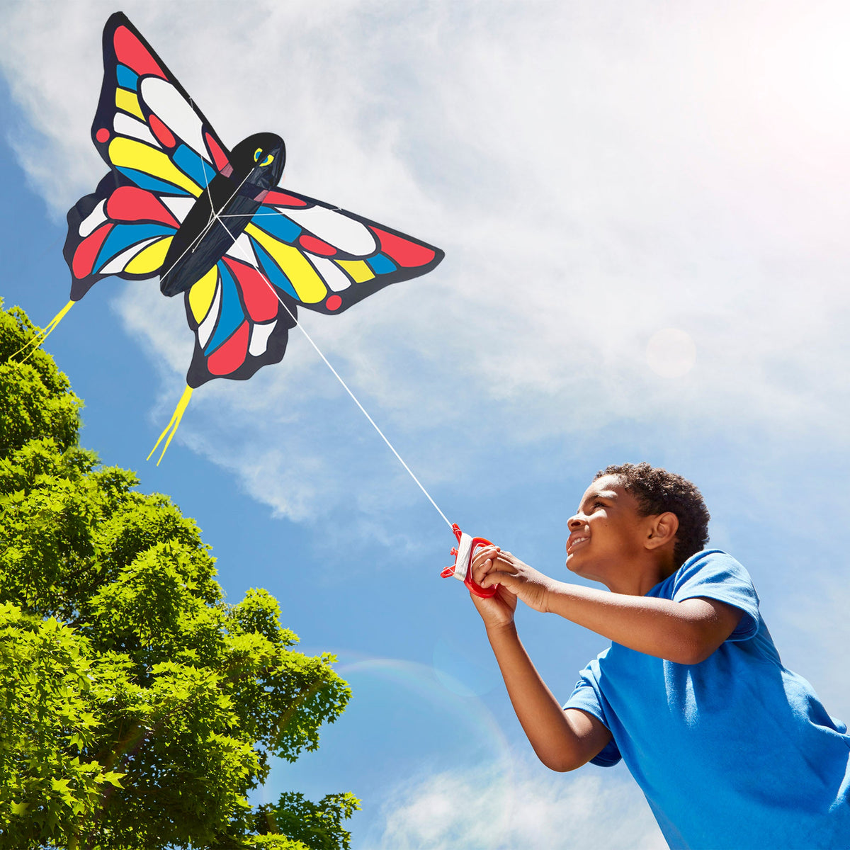 Beautiful Butterfly Kite S9