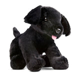 Benson Black Lab Puppy Dog Stuffed Animal F6