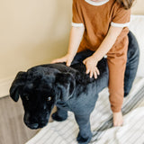 Black Lab Giant Stuffed Animal I9