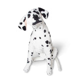 Dalmatian Giant Stuffed Animal P6