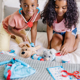 Examine & Treat Pet Vet Play Set Q2