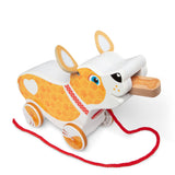 Feed, Walk & Poo Pup Play Set N6