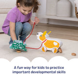 Feed, Walk & Poo Pup Play Set N6
