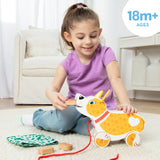 Feed, Walk & Poo Pup Play Set N6