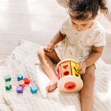First Skills Learning Bundle F6