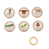 Let’s Explore Terrarium Observations Play Set O6