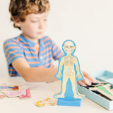 Magnetic Human Body Play Set D1