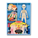 Magnetic Human Body Play Set D1