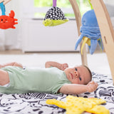 Ocean Easy-Fold Play Gym C8
