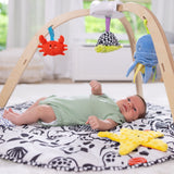 Ocean Easy-Fold Play Gym C8