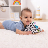 Ocean Tummy Time Triangle Baby Toy Z5