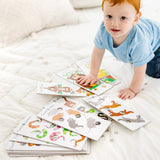 Poke-A-Dot Jumbo Number Learning Cards A4