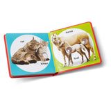 Poke-a-Dot: Pet Families Board Book Y2