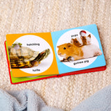 Poke-a-Dot: Pet Families Board Book Y2