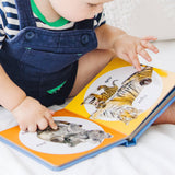 Poke-a-Dot: Wild Animal Families Board Book C8