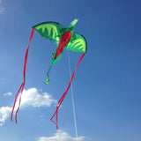 Winged Dragon Shaped Kite X9