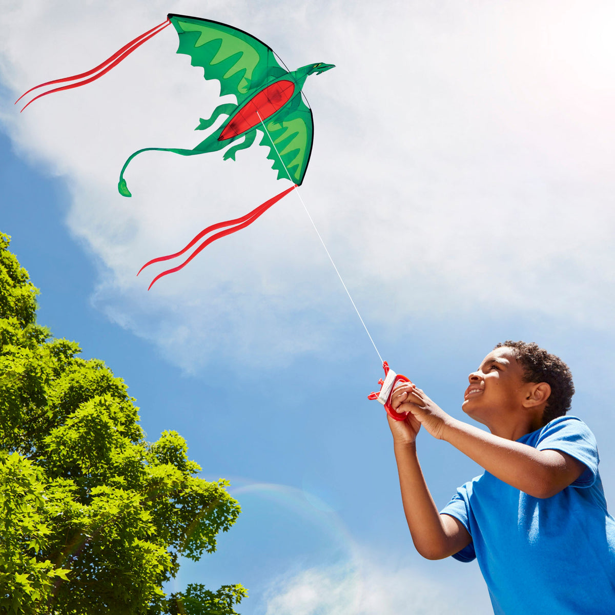 Winged Dragon Shaped Kite X9