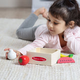 Wooden Food Groups Play Set – Produce U3